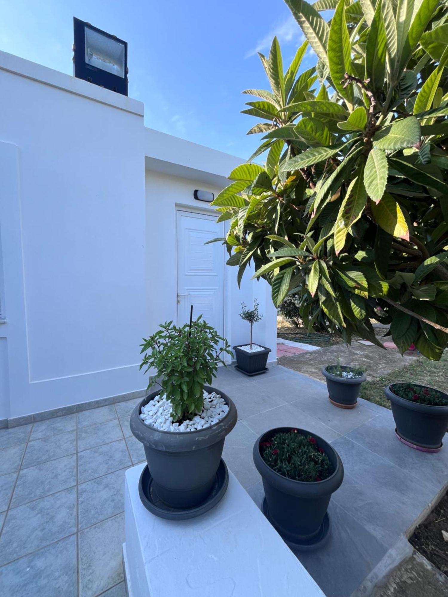 Kosaris Cottage Ziparion Экстерьер фото